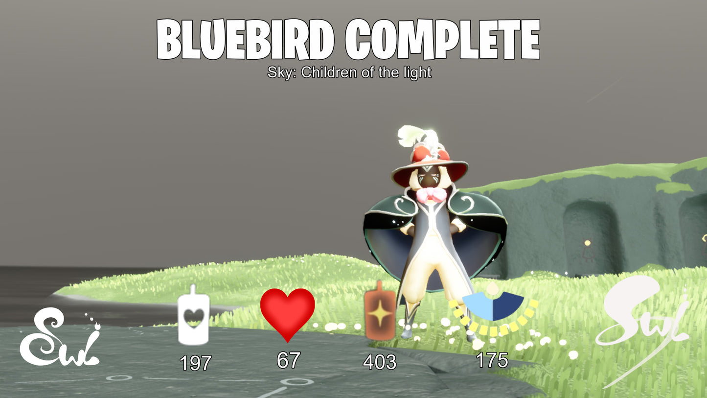 Sky Account Complete Season of Bluebird